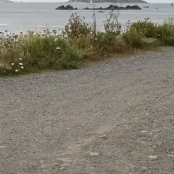 Les Landes Neolithic Site - Castel