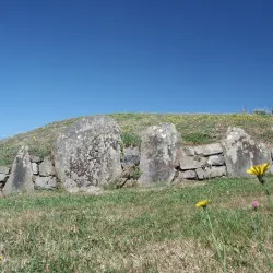 Les Landes Neolithic Site - Castel