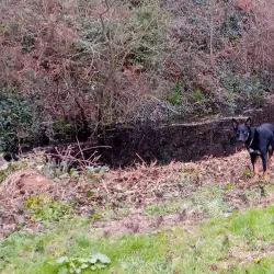 Les Vardes Manor - Castel