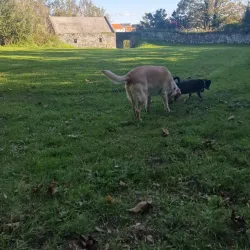 Les Vardes Manor - Castel