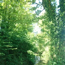 Les Vardes Manor - Castel