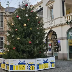 Guernsey Market - Saint Peter Port
