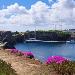 Beaucette Marina - Saint Sampson