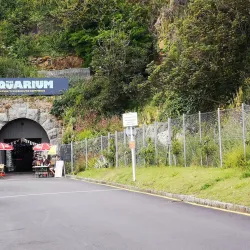 Guernsey Aquarium - Saint Sampson