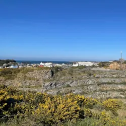 Les Vardes Quarry Nature Reserve - Saint Sampson