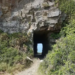 Sark Island Walks - Sark