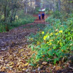 Guernsey Countryside Walks - St Martins