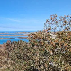 Le Guet Watchtower - St Martins