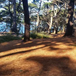 Le Guet Watchtower - St Martins