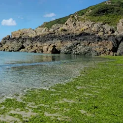 Petit Bot Bay - St Martins