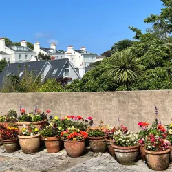 Guernsey Museum and Art Gallery - St Peter Port