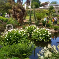 Guernsey Museum and Art Gallery - St Peter Port