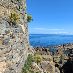 Fort Doyle - St Saviours