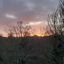 Guernsey Coastal Walks - St Saviours