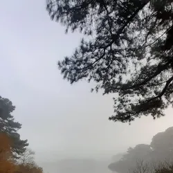 Guernsey Coastal Walks - St Saviours