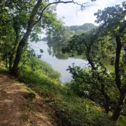Guernsey Coastal Walks - St Saviours