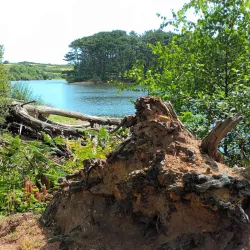 Guernsey Coastal Walks - St Saviours