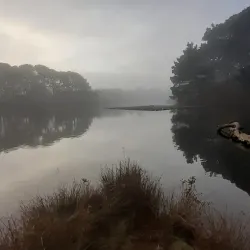 Guernsey Coastal Walks - St Saviours