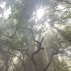 Les Vauxbelets Nature Reserve - St Saviours