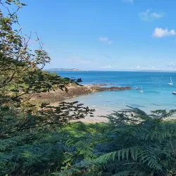 Les Vauxbelets Nature Reserve - St Saviours