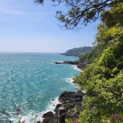 Les Vauxbelets Nature Reserve - St Saviours