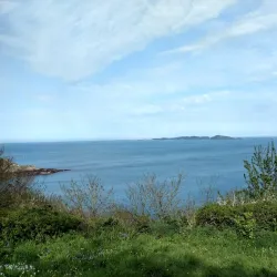 Les Vauxbelets Nature Reserve - St Saviours