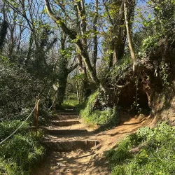 Les Vauxbelets Nature Reserve - St Saviours