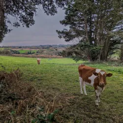 Guernsey Coastal Path - Torteval