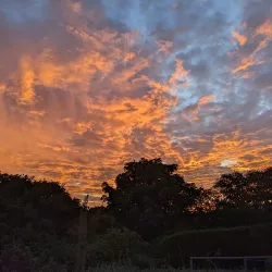 Torteval Coastal Walks - Torteval