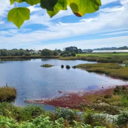 Guernsey Aquarium - Vale