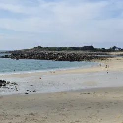 Guernsey Aquarium - Vale