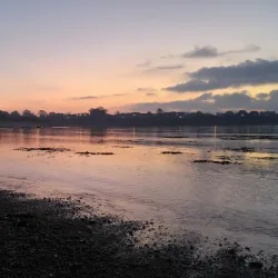 Guernsey Aquarium - Vale