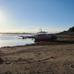 Guernsey Aquarium - Vale