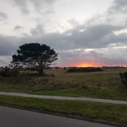 Guernsey Aquarium - Vale