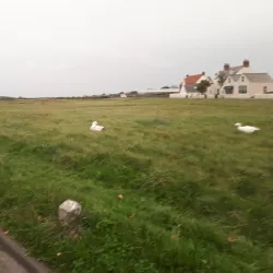 Vale Church (St. Michel du Valle) - Vale