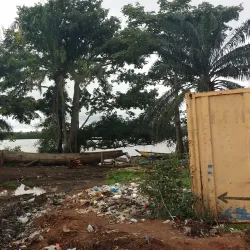 Boffa Mangrove Forests - Boffa
