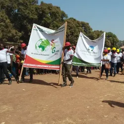 Guinea National Park (Nearby) - Boffa