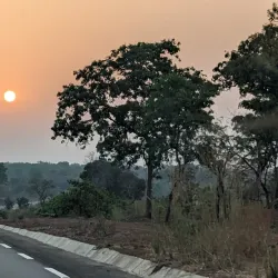 Guinea National Park (Nearby) - Boffa