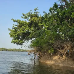 Guinea National Park (Nearby) - Boffa