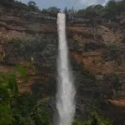 Dalaba Botanical Gardens - Dalaba