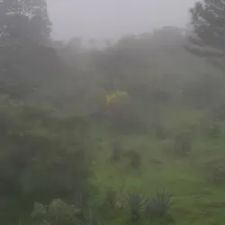 Dalaba Botanical Gardens - Dalaba