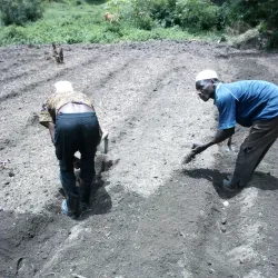Village of Timbo - Dalaba