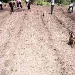 Village of Timbo - Dalaba