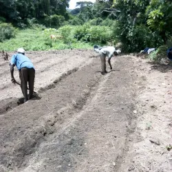 Village of Timbo - Dalaba