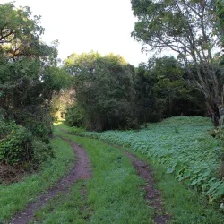 Hiking and Nature Walks - Dinguiraye