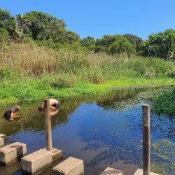 Hiking and Nature Walks - Dinguiraye