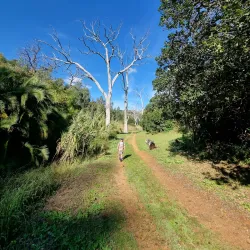Hiking and Nature Walks - Dinguiraye