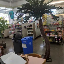 Local Market of Tokonou - Tokonou