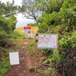 Nearby Hills and Lookout Points - Tokonou