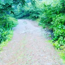 Fouta Djallon Highlands - Tougue